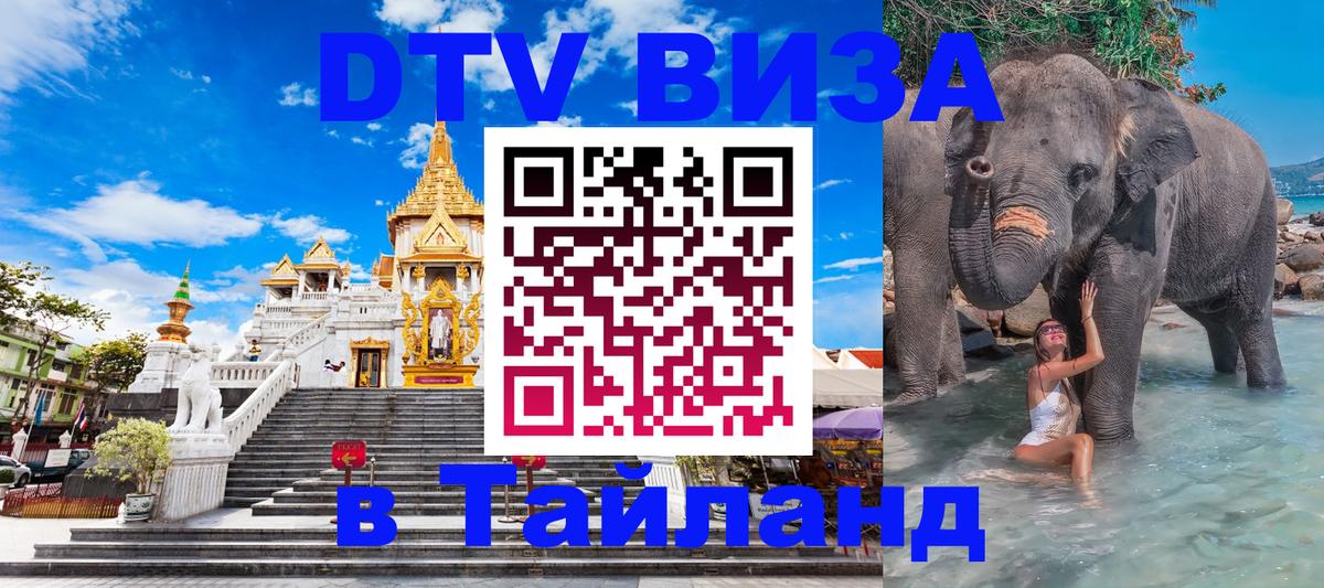 DTV Visa Тайланд купить Тирана 